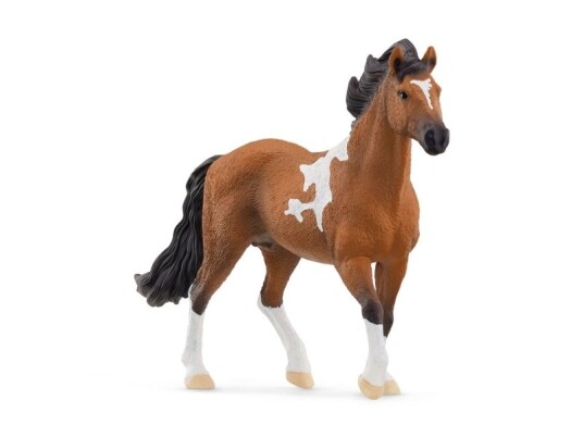 Schleich Horse Club 13978 5 År Svart Brun Vit