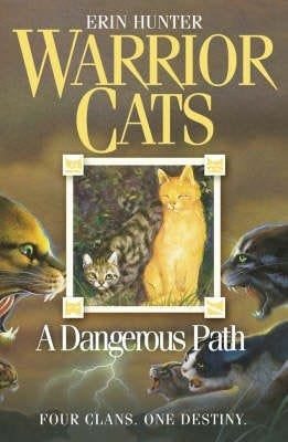 A Dangerous Path Av Erin Hunter