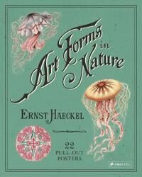 ART Haeckel, ,Ernst Ernst Haeckel: Art Forms in Nature: 22 Pull-Out Posters (3791382632)