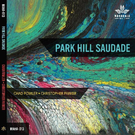 Chad Fowler Park Hill Saudade CD