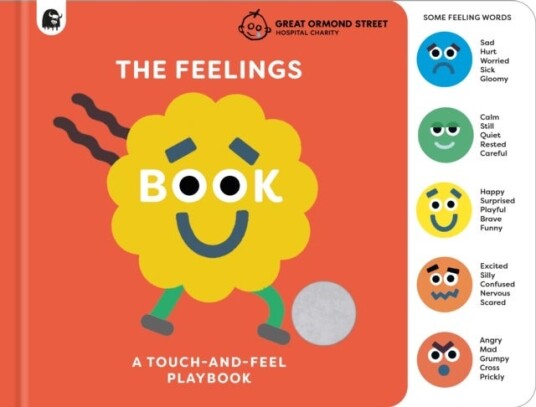 The Feelings Book: Touch and Feel Emotions