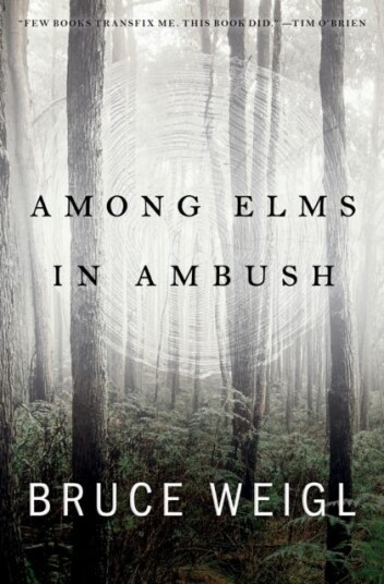 Among Elms, In Ambush Av Bruce Weigl