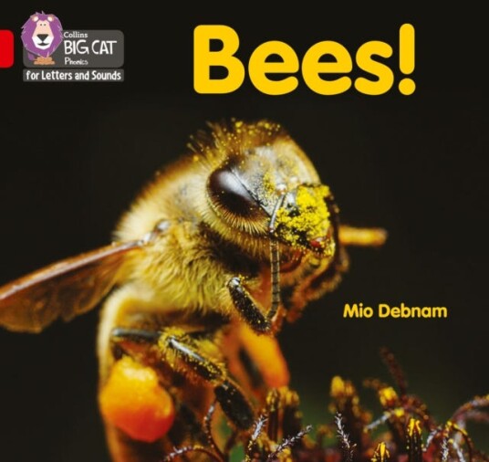 Bees! Band 02b/Red B