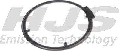 Tetning, EGR-ventil HJS 83 11 3970