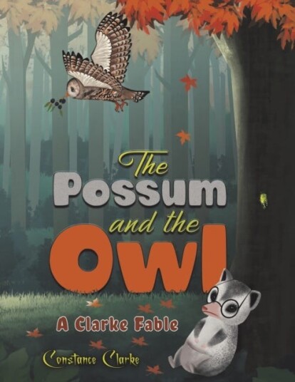 The Possum And The Owl Av Constance Clarke The Possum And The Owl Av Constance Clarke