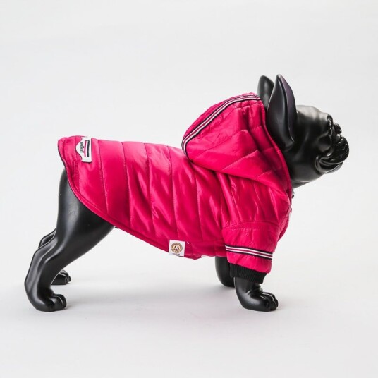 Hundejakke I Bomull Med Hette