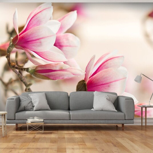 Fototapet Branch Of Magnolia Tree 300x231 - Artgeist sp. z o. o.