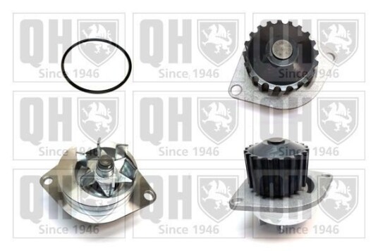 QUINTON HAZELL QCP3165 Vannpumpe QUINTON HAZELL QCP3165 Vannpumpe