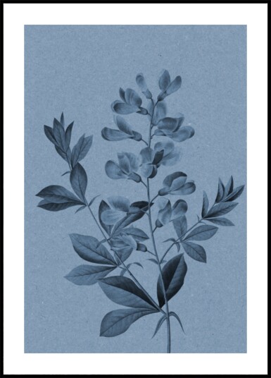 Elegant Blue Botanical Plakat / 100x150