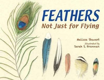 Feathers Av Melissa Stewart Feathers Av Melissa Stewart