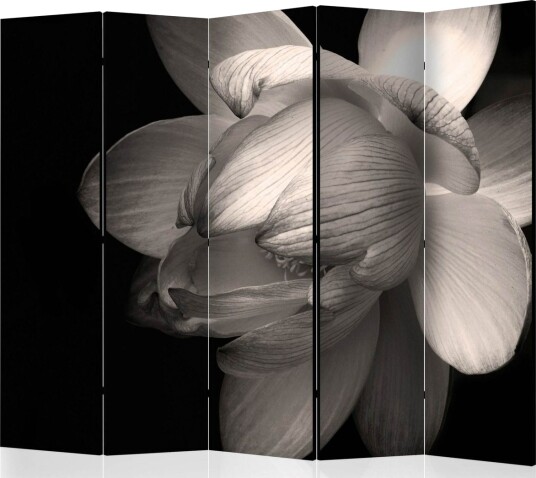 Romdeler - Lotus Flower II 225x172 - Artgeist sp. z o. o.