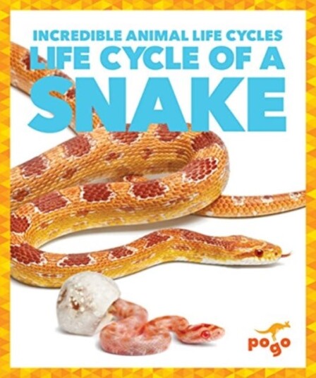 Life Cycle of a Snake Life Cycle of a Snake