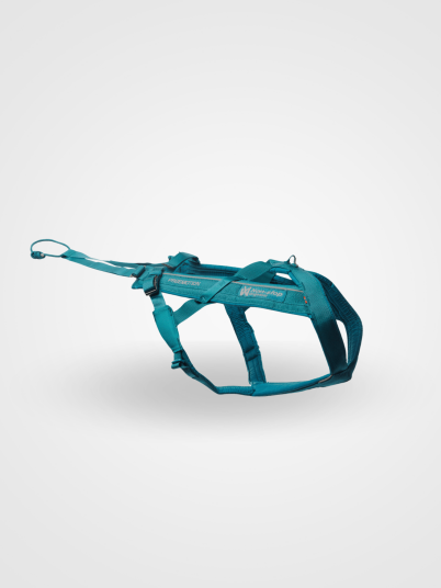Non-stop Dogwear Freemotion Harness 5.0 Teal 7