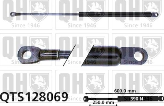 QUINTON HAZELL QTS128069 Baklukedemper