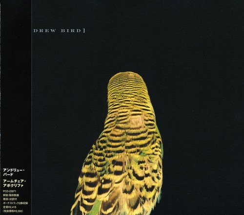 Andrew Bird Armchair Apocrypha CD