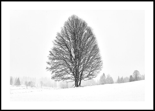 LONELY TREE Plakat Plakat / 21x30cm