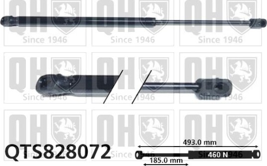 QUINTON HAZELL QTS828072 Baklukedemper
