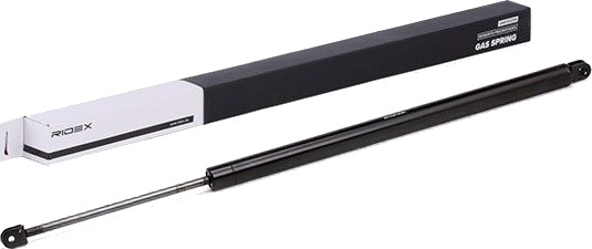 RIDEX 219G0490 Baklukedemper