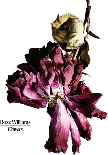 Flowers Vinyl Flowers Vinyl