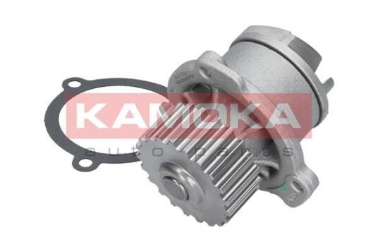 KAMOKA T0172 Vannpumpe