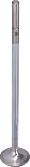 FEBI BILSTEIN 183197 Innløpsventil