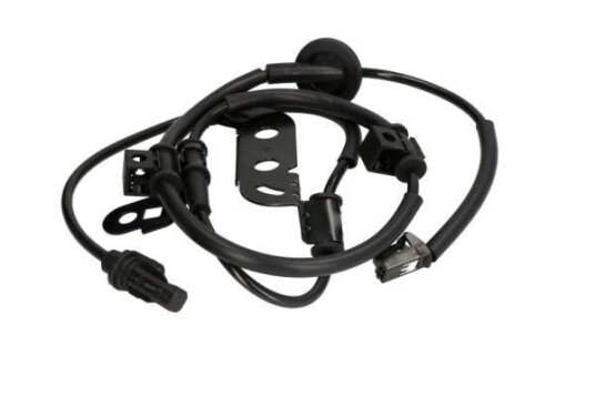 Sensor, ABS ABE CCZ1628ABE
