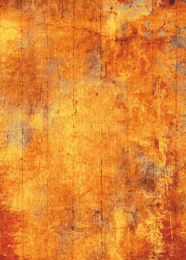 Wilton teppe Cesano oransje Størrelse: 160 x 230 cm