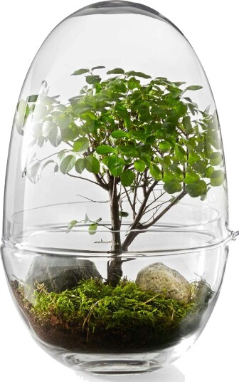 Design House Grow vekstkuppel x-large Ø20 cm