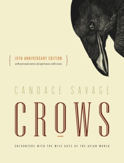 Crows Encounters with the Wise Guys of the Avian World {10th anniversary edition}