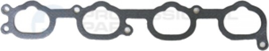 Tetning innsugningsmanifold Professional Parts 21436787