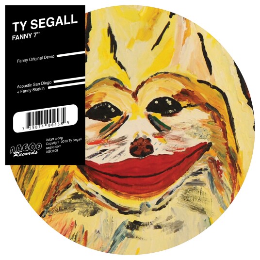 Ty Segall  Fanny  LP/Vinyl