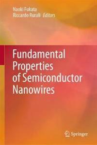 Fukata Naoki Fundamental Properties of Semiconductor Nanowires
