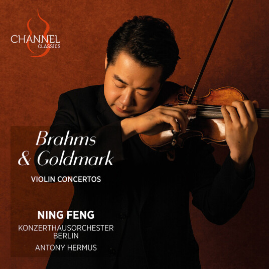 Ning Feng Brahms & Goldmark: Vn Cons CD