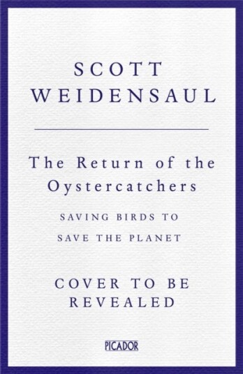 The Return of the Oystercatcher The Return of the Oystercatcher