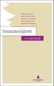 Immaterialrett: i et nøtteskall Pent brukt bok uten markeringer