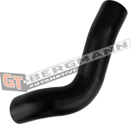 GT BERGMANN GT52 891 Ladeluftslange