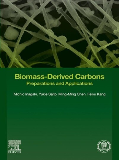 Biomass-Derived Carbons
