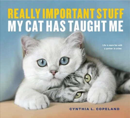 Really Important Stuff My Cat Has Taught Me Av Cynthia L. Copeland