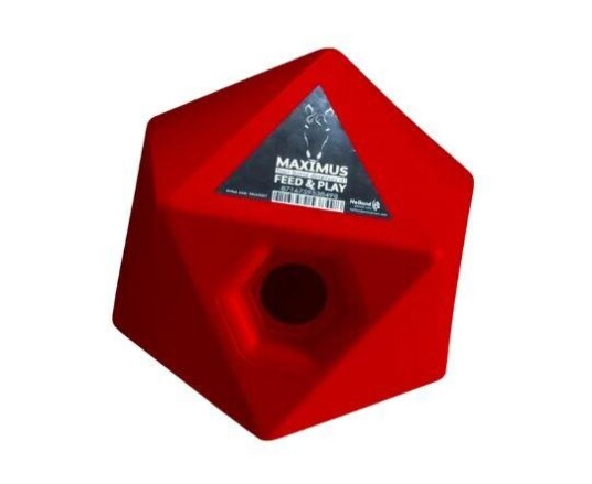 Holland Animal Care Maximus Godbitball Til Hest Rød 23.5Cm