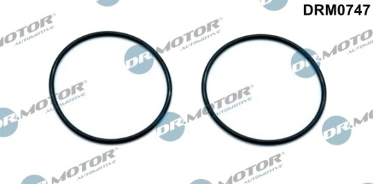 Tetning, vakuumpumpe DR.MOTOR AUTOMOTIVE DRM0747