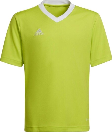 adidas Trenings T skjorte Entrada 22 Semi Solar Gul/hvit Barn størrelse 116 cm