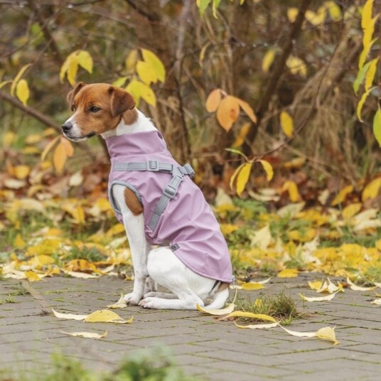 Trixie Pontis Rain Hunderegntøy med Sele 64-68 cm Rosa