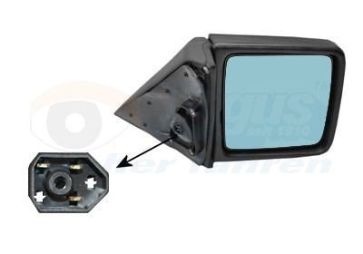 Speil VAN WEZEL 3024806