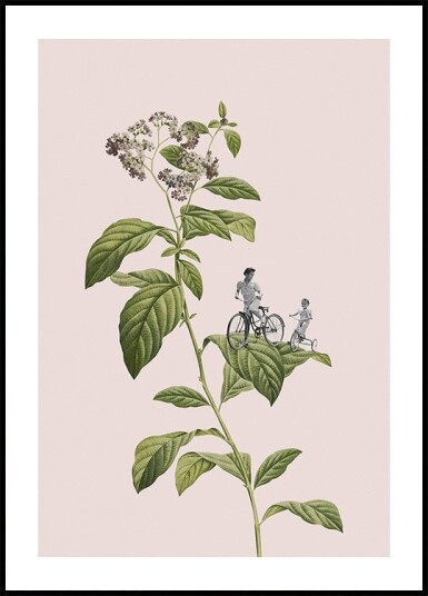 Botanical cycling Plakat / 21x30cm