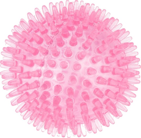 Tiaki Hundeleke Piggete Ball Ø 8.3 cm