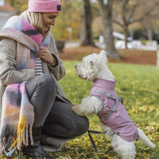 Trixie Pontis Rain hunderegntøy med sele, 52-56 cm, Rosa