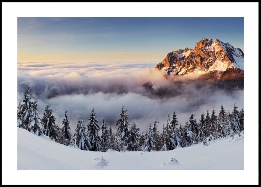 Golden Mountain Above Clouds Plakat / 40x50