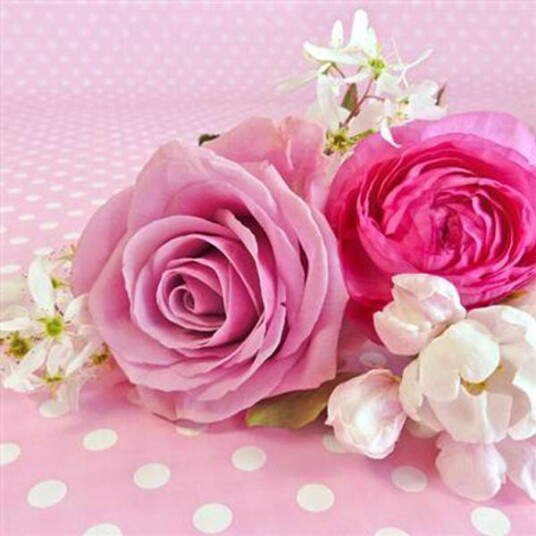 Lunsj serviett Rosa Romance med to roser