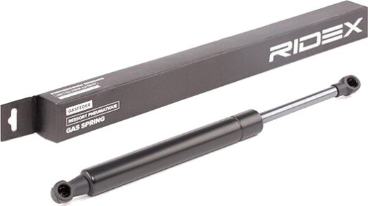 RIDEX 219G0567 Baklukedemper RIDEX 219G0567 Baklukedemper
