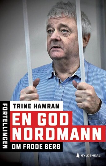 En god nordmann av Trine Hamran